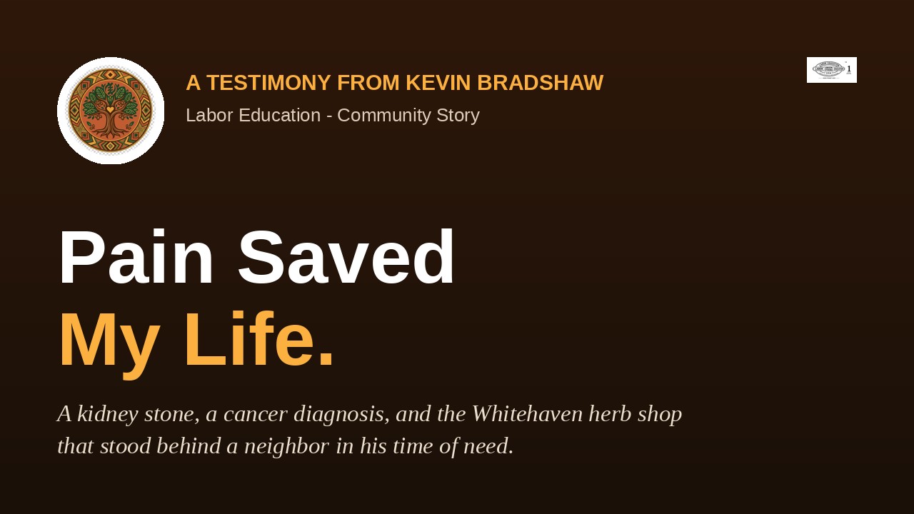 Pain Saved My Life